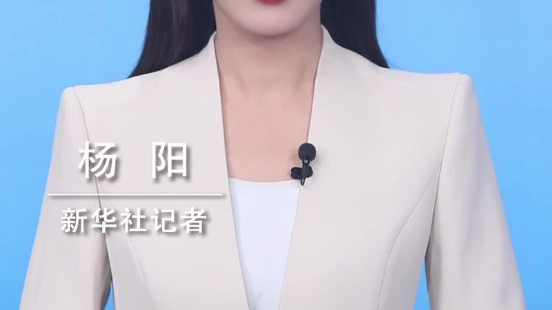 企业内部信息化项目管理流程：关键环节与优化策略